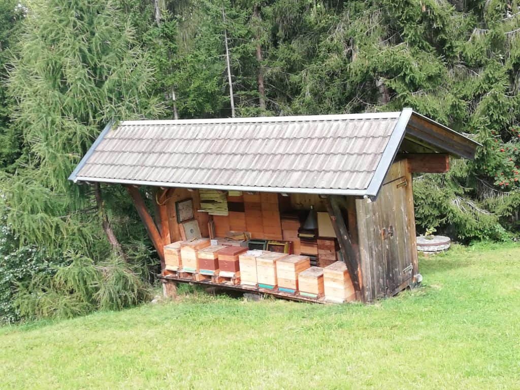 Überdachter Bienenstand aus Holz mit aufgereihten Bienenstöcken auf einer Wiese am Waldrand