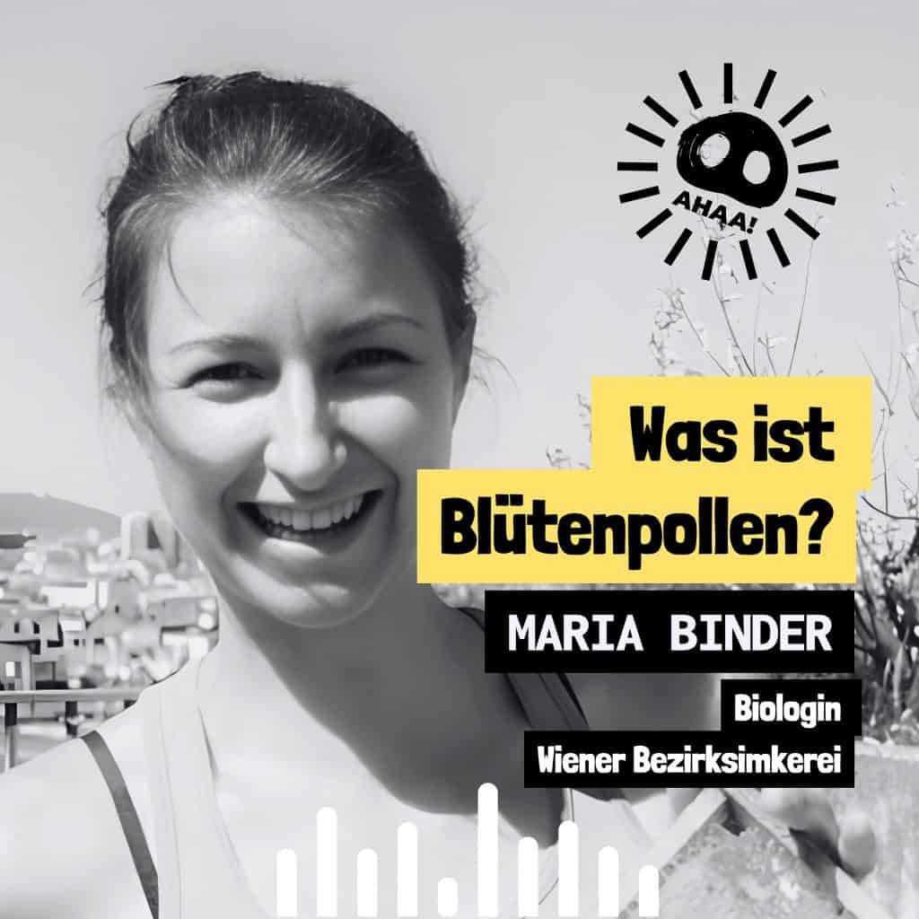 Ahaa! – Was ist Blütenpollen?