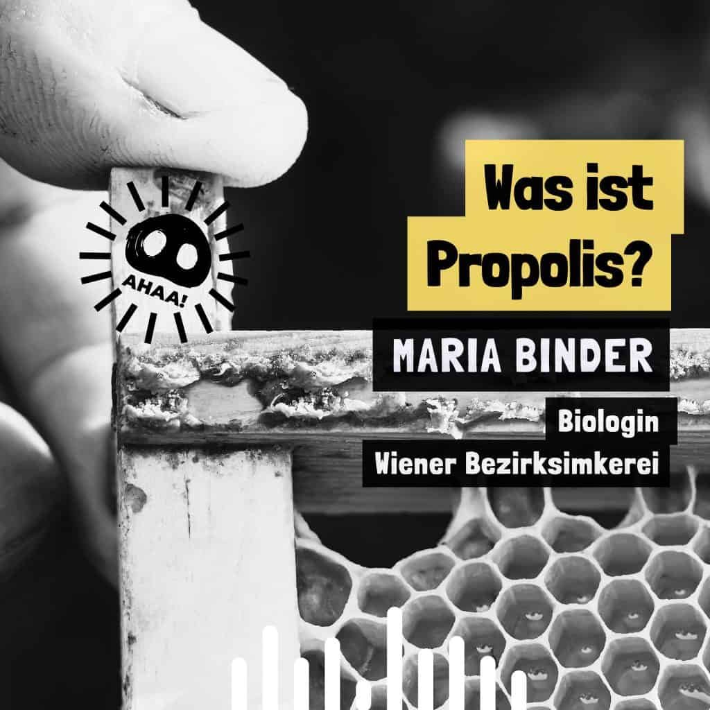 Ahaa! – Was ist Propolis?