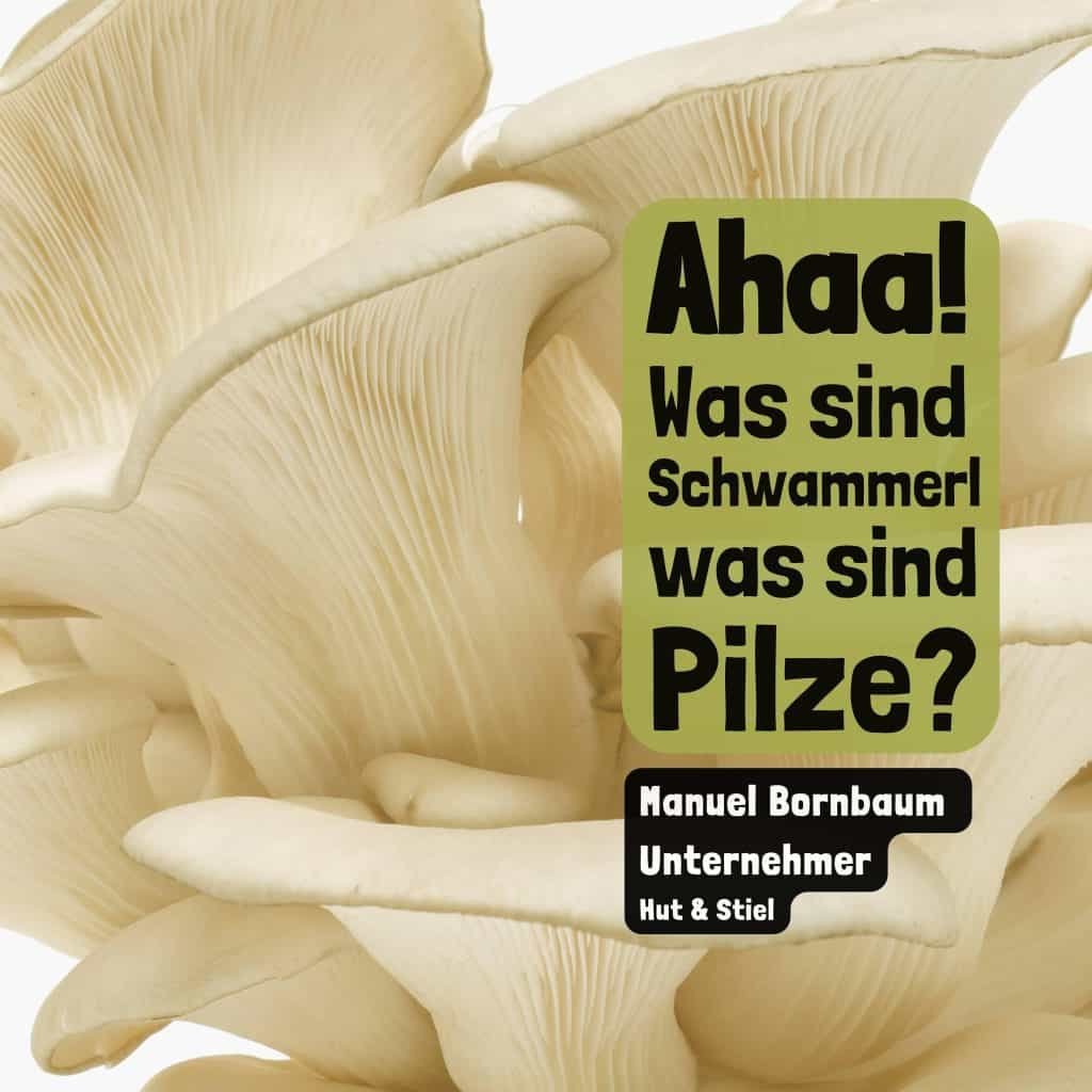 Ahaa! – Was sind Schwammerl, was sind Pilze?