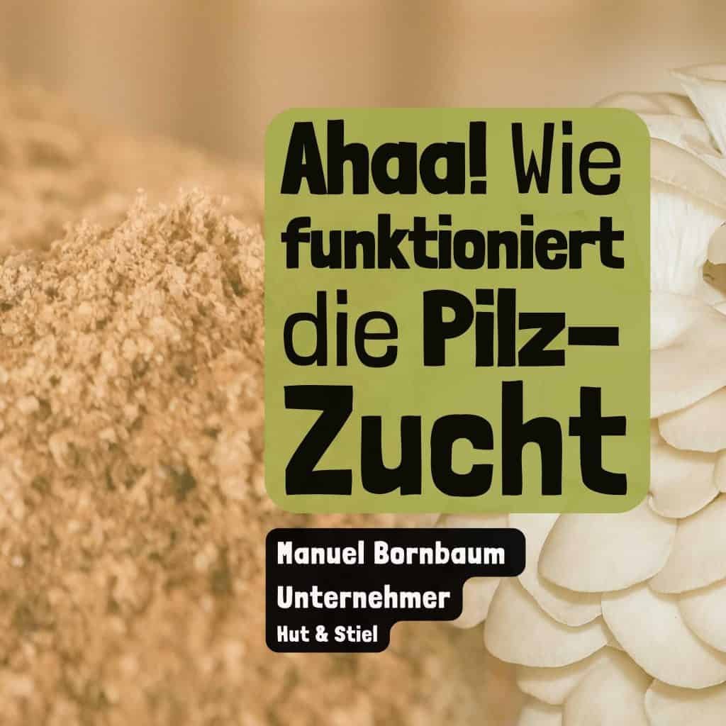 Ahaa – Wie funktioniert die Pilzzucht?
