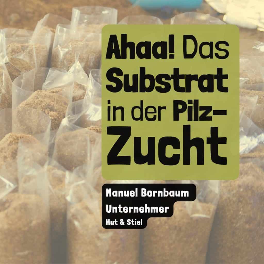 Ahaa – Was ist das Substrat in der Pilzzucht?