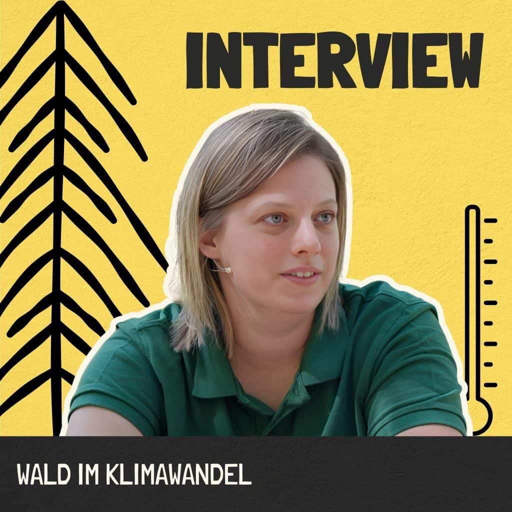 Interview – Wald und Klimawandel