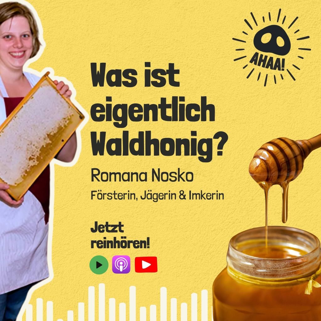 Ahaa! – Was ist eigentlich Waldhonig?