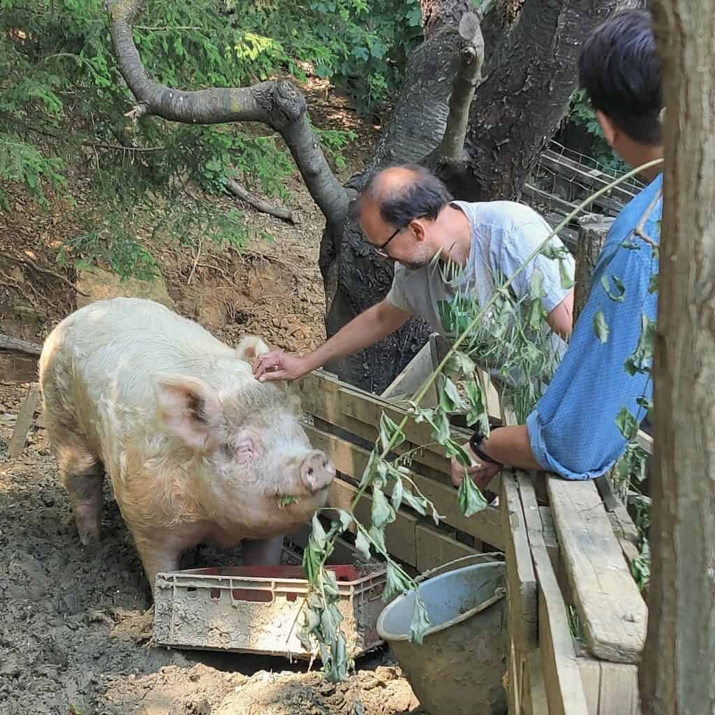 B2P039 David Richter (VGT) – Mit Ruhe und Megafon auf der Seite der Tiere