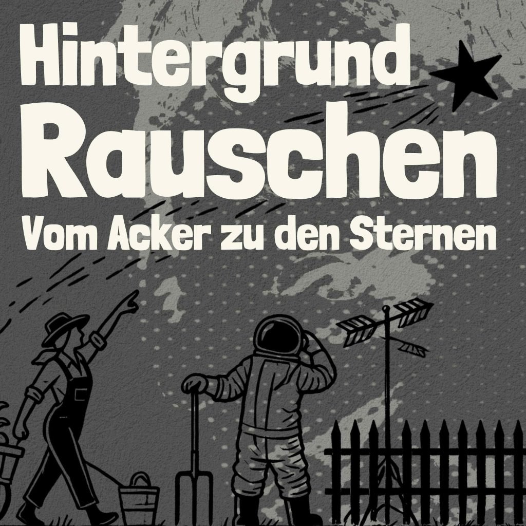 Hintergrundrauschen – Schafherde auf einer Tiroler Alm