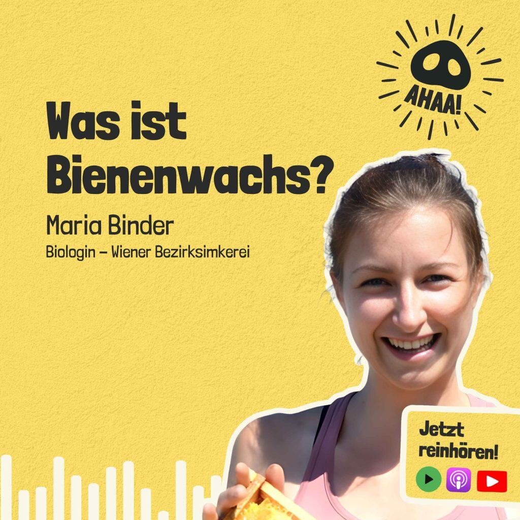 Ahaa! – Was ist Bienenwachs?