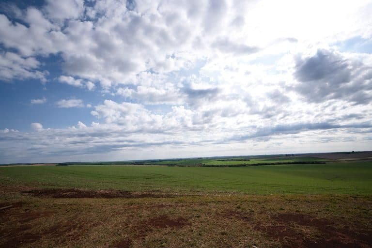 Auf der Farm von Karl Milla - viel Gegend, viel Ackerland