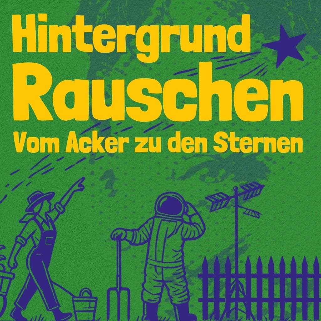 Hintergrundrauschen – Ferkel beim Saugen
